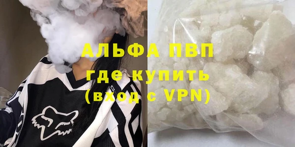 прущий лед Алзамай