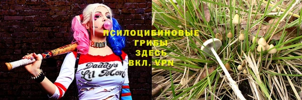 метадон Алексин