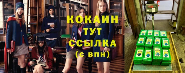 прущий лед Алзамай