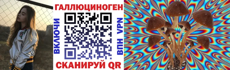 кракен онион  Железногорск  Псилоцибиновые грибы Magic Shrooms  маркетплейс состав  наркота 